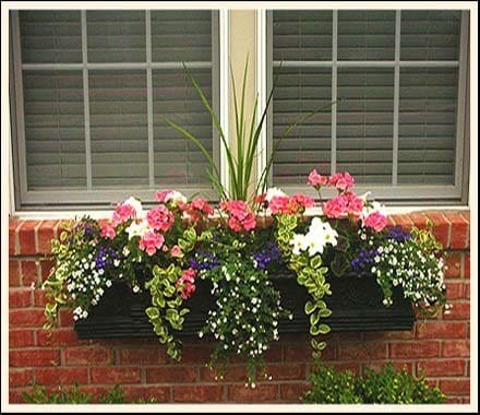 window box milberger nurserymilberger nursery window box milberger nurserymilberger nursery