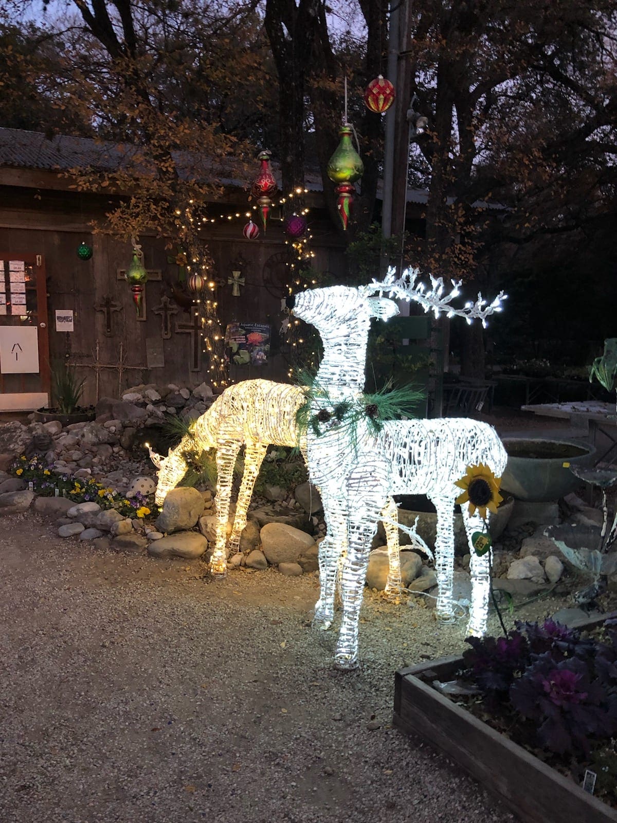 We Have A Deer Problem At Milberger S We Have A Deer Problem At Milberger S