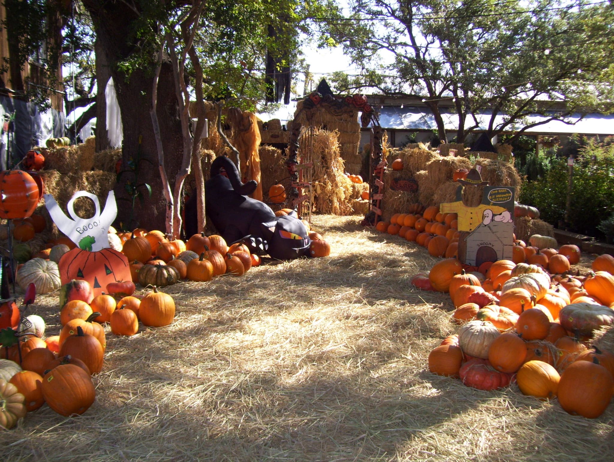 Ready This Weekend Milberger S Nurserymilberger Nursery Milberger S Nurserymilberger Nursery